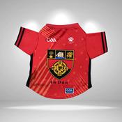 Down GAA Pet Jersey/Dog Bandana - Medium / Jersey image