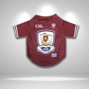 Galway GAA Pet Jersey/Dog Bandana - Small / Pet Jersey image