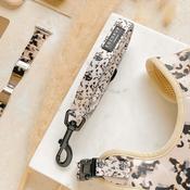 Cocopup Ivory Tort Lead image