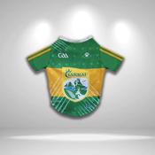 Kerry GAA Pet Jersey - Home Jersey / Small image