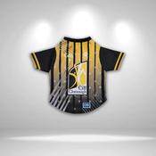 Kilkenny Pet Jersey/Dog Bandana - Dog Bandana / Extra Large image