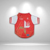 Louth GAA Pet Jersey/Dog Bandana - Pet Jersey / Small image