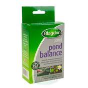 Blagdon Pond Balance image
