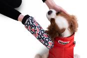 DogDry Mitts
