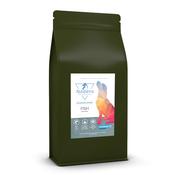 NODENS - Goodness Grains Adult - Fish Dog Food - 10kg image