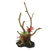 Betta Plants &amp; Reaching Twigs image