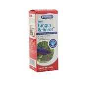 Interpet Anti fungus &amp; Finrot image