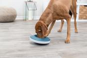 Trixie Slow Feeding Rocking Bowl image