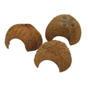 Coco Shell - Small