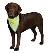 Trixie Safety Reflective Neckerchief - Large/Extra Large image