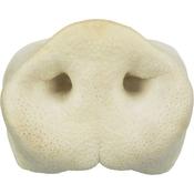 Pig Snout - 1 Piece