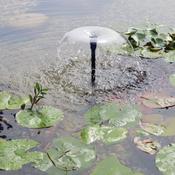 Betta Choice Solar Fountain Pump 1400 image