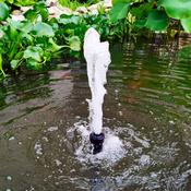 Betta Choice Solar Fountain Pump 700 image