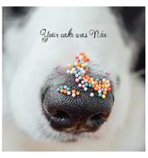 Your Cake Was Nice Card
