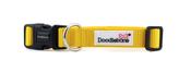 Doodlebone Adjustable Dog Collar | Sunshine - 6-11 image