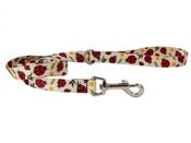 Ancol Soho Pet Ladybird Dog Lead | 100cm image