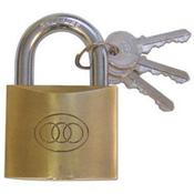 Tri-Circle 263 Brass Padlock