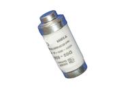 63A Neozed Fuses 8816