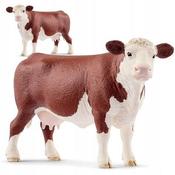HEREFORD COW