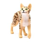 Bengal Cat image