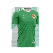 Ireland Retro Jersey Green Adult