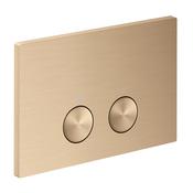 Axor Dual Flush Plate For Concealed Cistern
