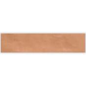 I Colori Rosa Decor Wall Tile 5x23cm Gloss image