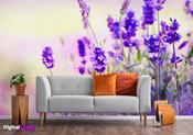 Blossom's Paradise Wall Graphics image