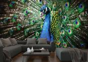 Nature Wall Graphics image