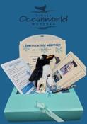 Gentoo Penguin Adoption Pack