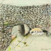 Shelter image