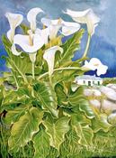 Lily Cottage image