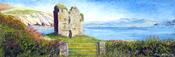 Minard Castle