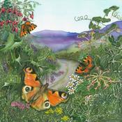 Butterflies Limited Edition image