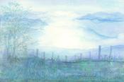 Misty Mountain Top Limited Edition