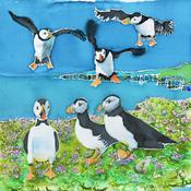 Puffins Limited Edition image