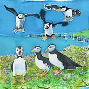 Puffins