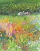 Summertime image