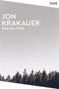 Into the Wild image