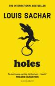 Holes : The iconic childhood-defining phenomenon image