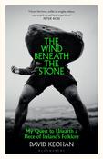 The Wind Beneath the Stone : My Quest to Unearth a Piece of Ireland's Folklore image