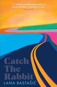 Catch the Rabbit image