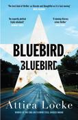 Bluebird, Bluebird image