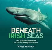Beneath Irish Seas : The Hidden Wonders of Ireland’s Amazing Marine Life image