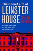 The Secret Life of Leinster House : What you really need to know about how the country is run image