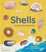 Shells... and what they hide inside : A Lift-the-Flap Adventure image