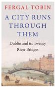 A City Runs Through Them : Dublin and its Twenty River Bridges image