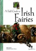 A field guide to irish fairies image