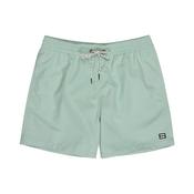 Billabong All Day Layback Swim Shorts image