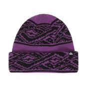 Quiksilver Performer Archive  Beanie image